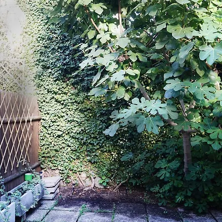 Lejlighed La Maisonette Et Son Jardin