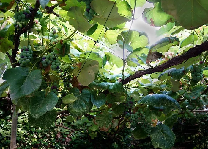 La Maisonette Et Son Jardin Διαμέρισμα
